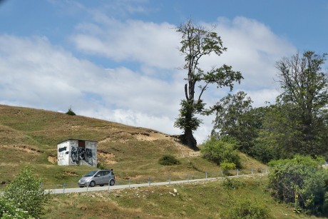 11 Transalpina