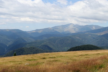 13 Transalpina