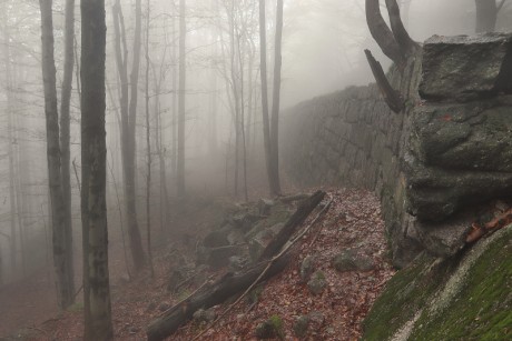 20. Cesta nad Černým potokem