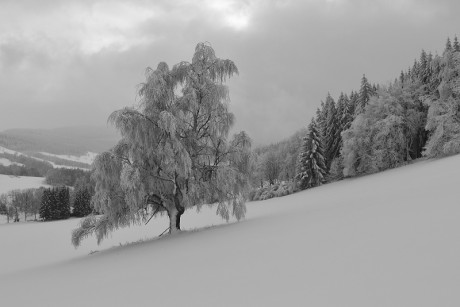 35. Horní Albeřice