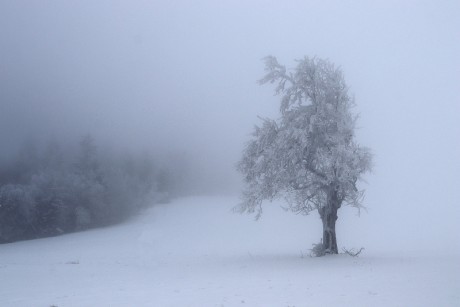 05. Albeřické stráně