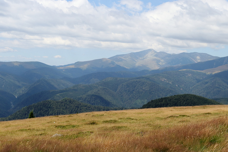 13 Transalpina